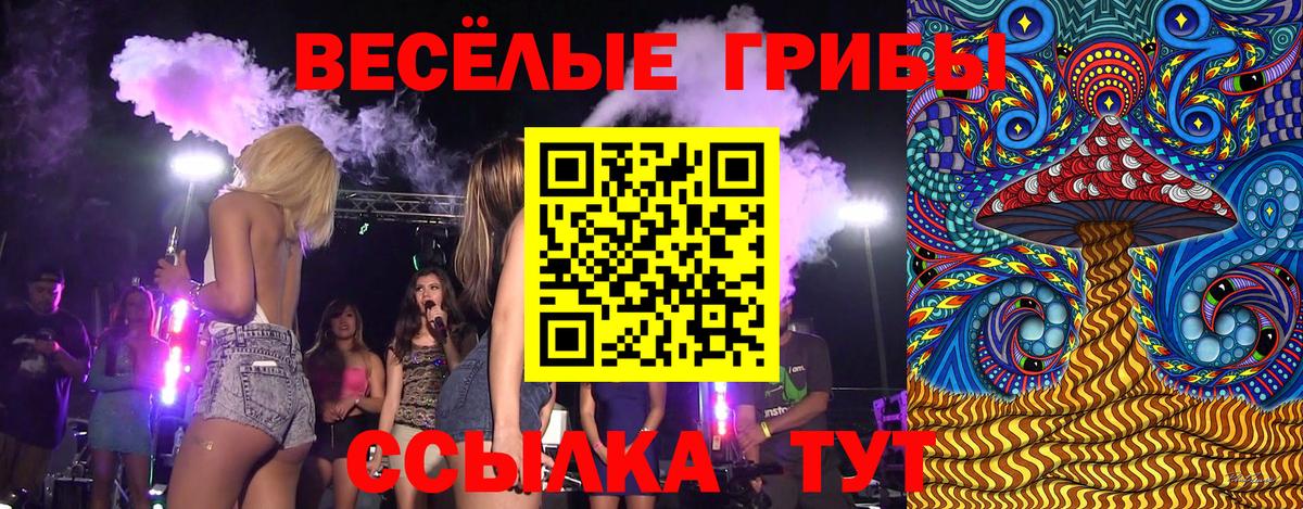 Галлюциногенные грибы Psilocybine cubensis Свободный